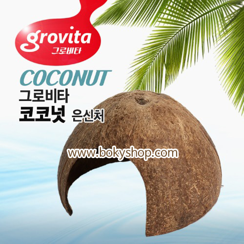 코코넛 은신처